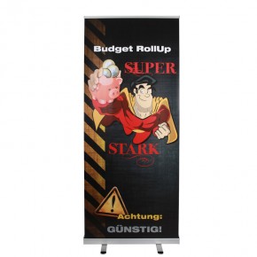 Budget RollUp Display 85/200